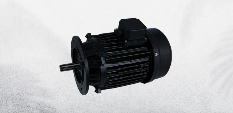 3 HP Single Phase Paddle Wheel Aerator Motor
